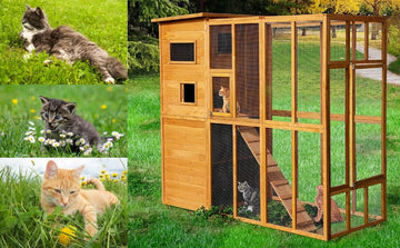 Is it Necessary to Buy a Cat House Catio Enclosure?