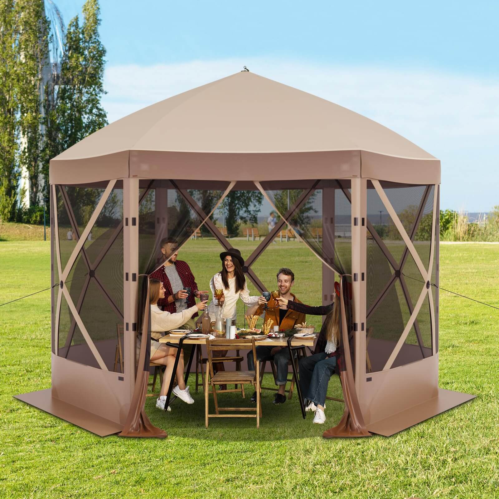 e4d1bcc0-d6e1-4247-a8da-84da9e4cae53/elecwish-Canopy_Tent-OD017-BR-1.jpg
