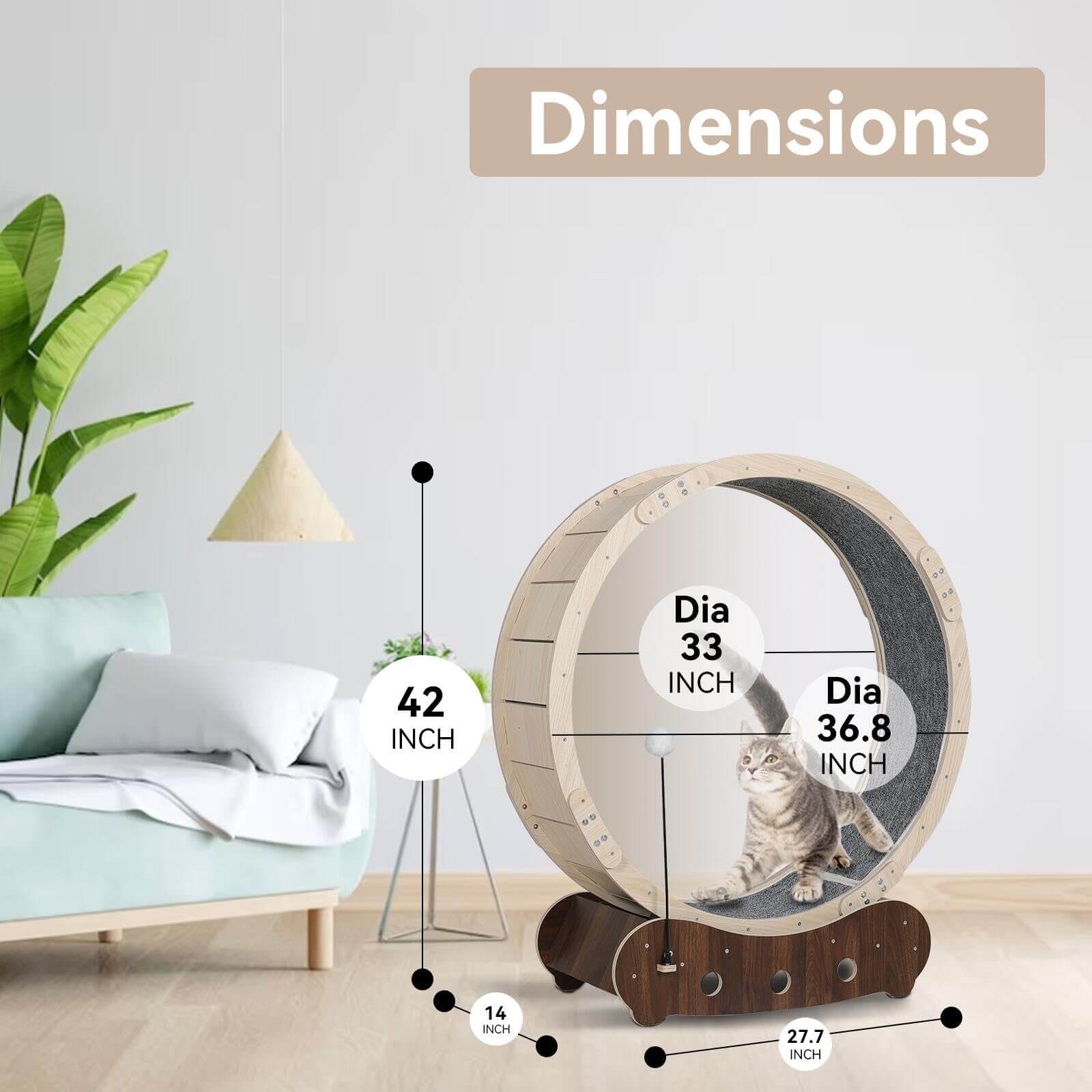 Wooden cat exercise wheel dimensions