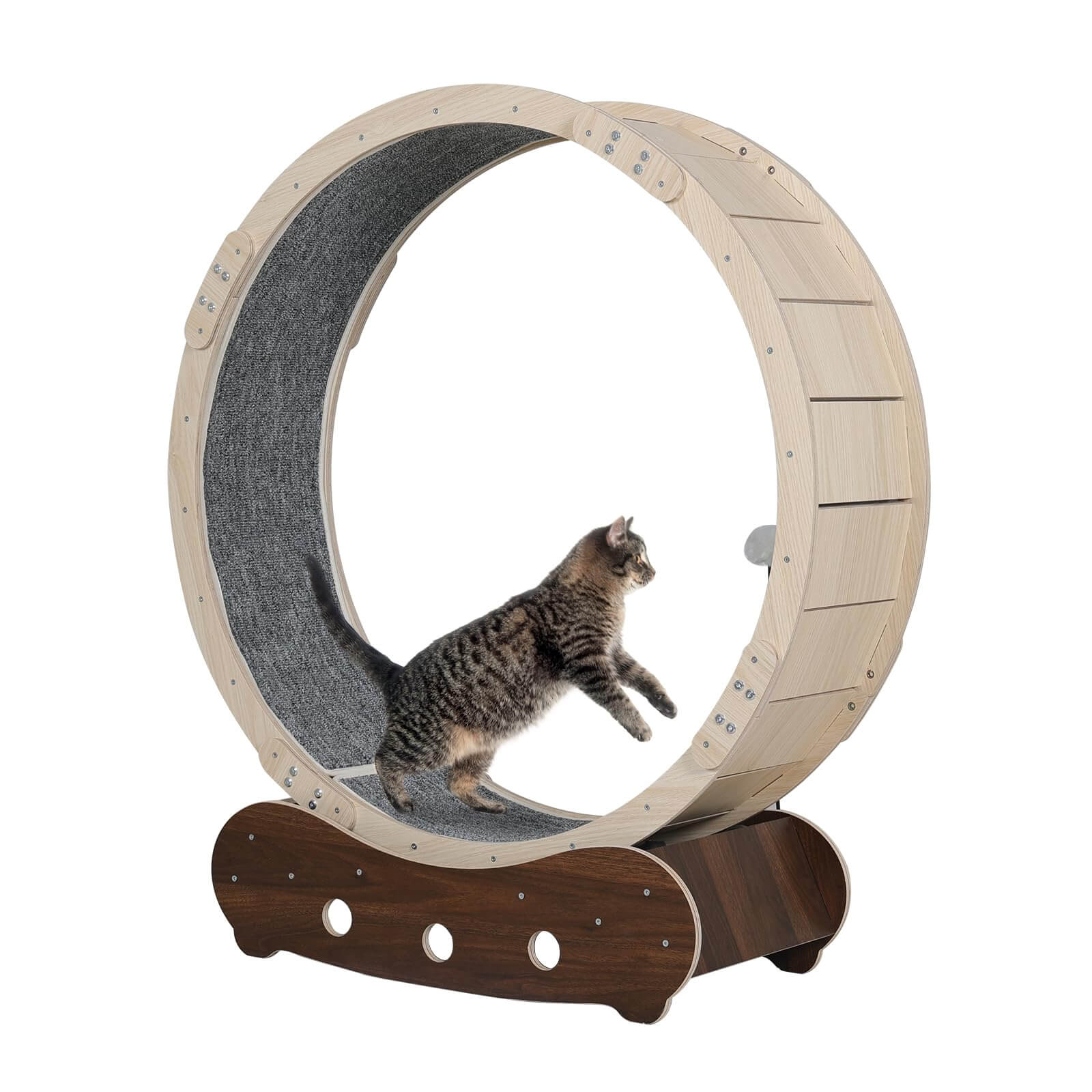 Feline exercise deals wheel