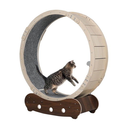 Wooden cat exercise wheel with cat