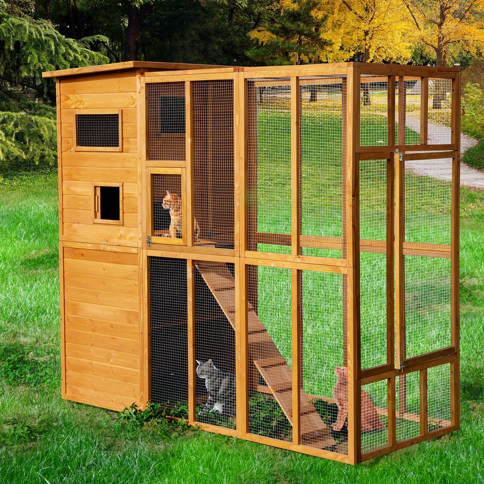 Large Cattery Extra Large Outdoor Cat Enclosures at Joshua Allingham blog