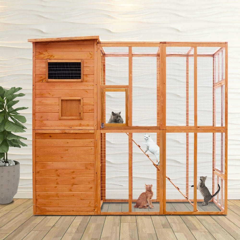 Elecwish Cat House PE1002OR