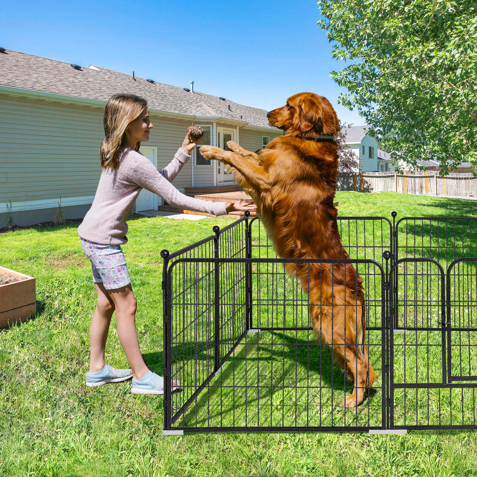 Elecwish High-Security Pet Fences for dog training and playing